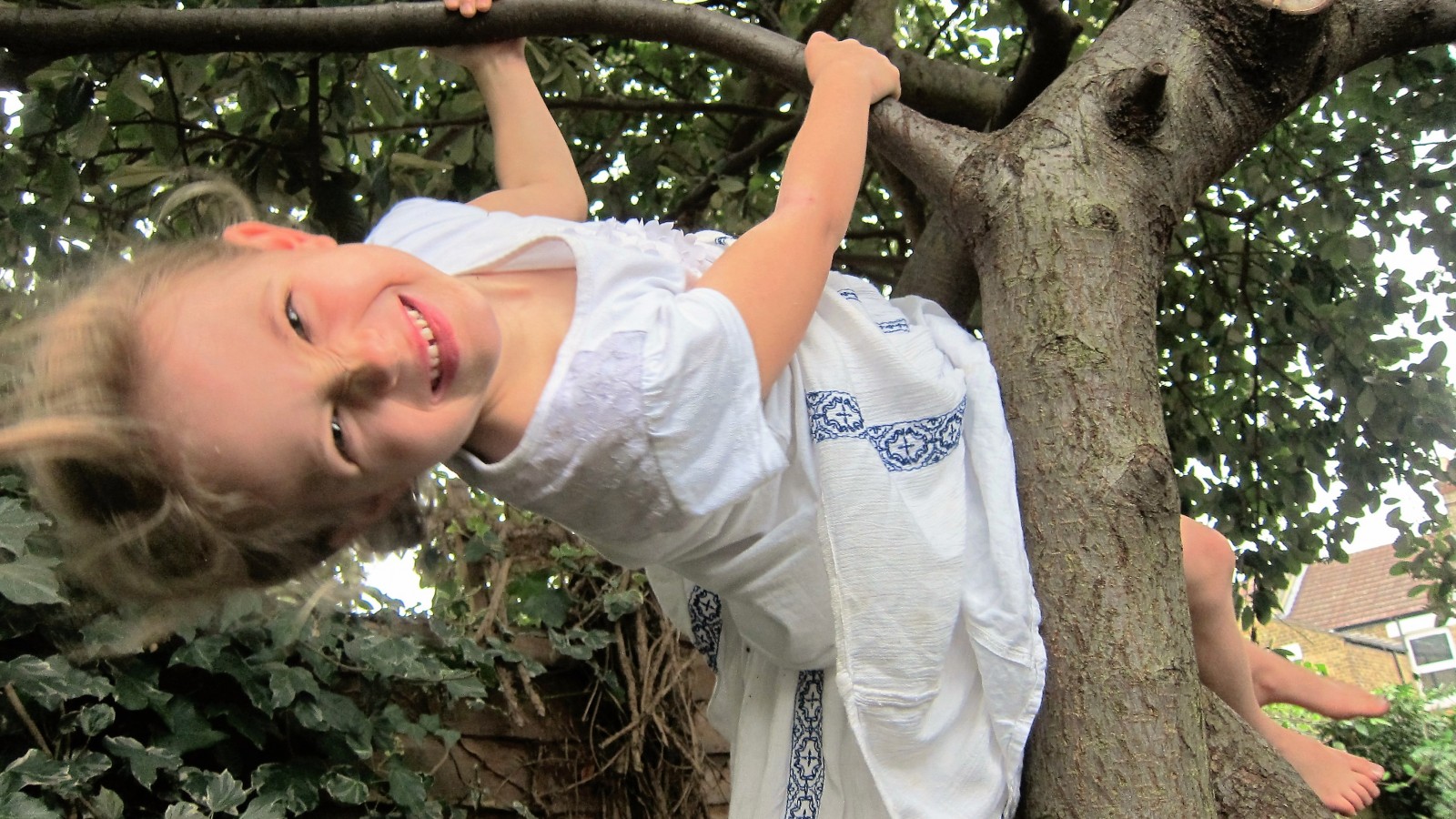 the art of tree climbing