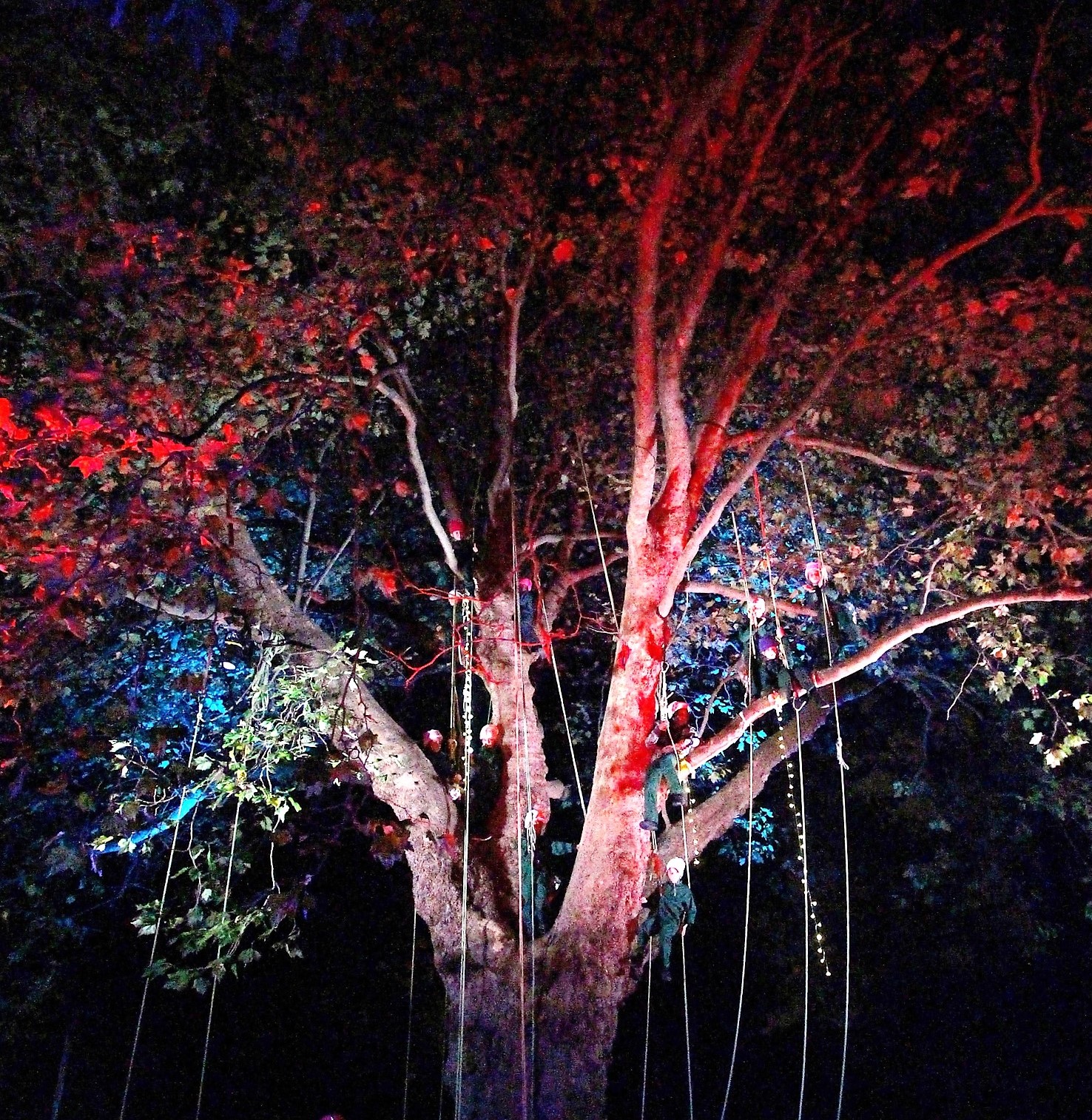 GIANT Arts & Gardens